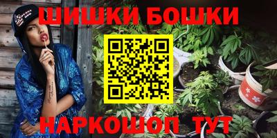 индика Краснознаменск