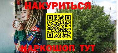 индика Краснознаменск
