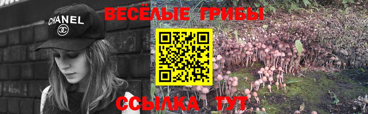 Гусев  Галлюциногенные грибы мицелий  Вход с VPN 